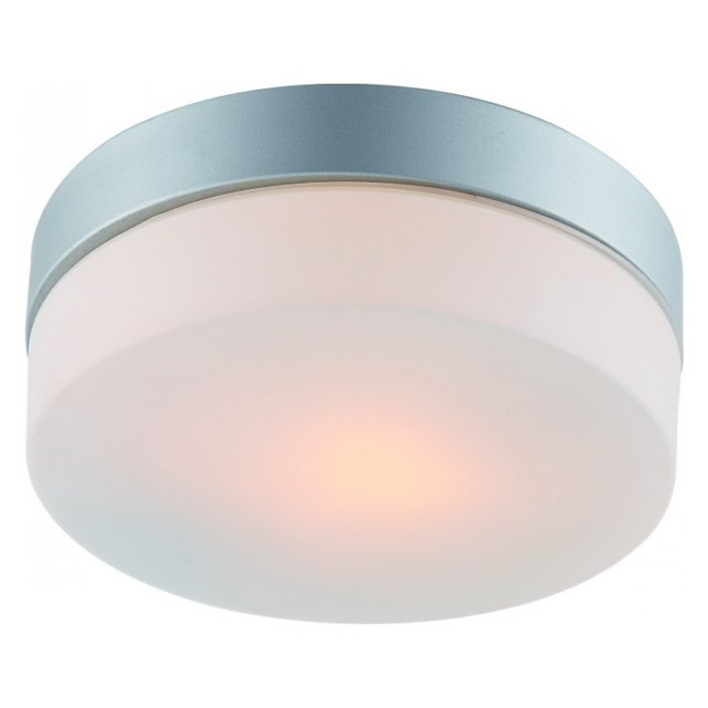 светильник настенно-потолочный для ванной Aqua 1х60Вт E27 230В металл крашеный серебро
