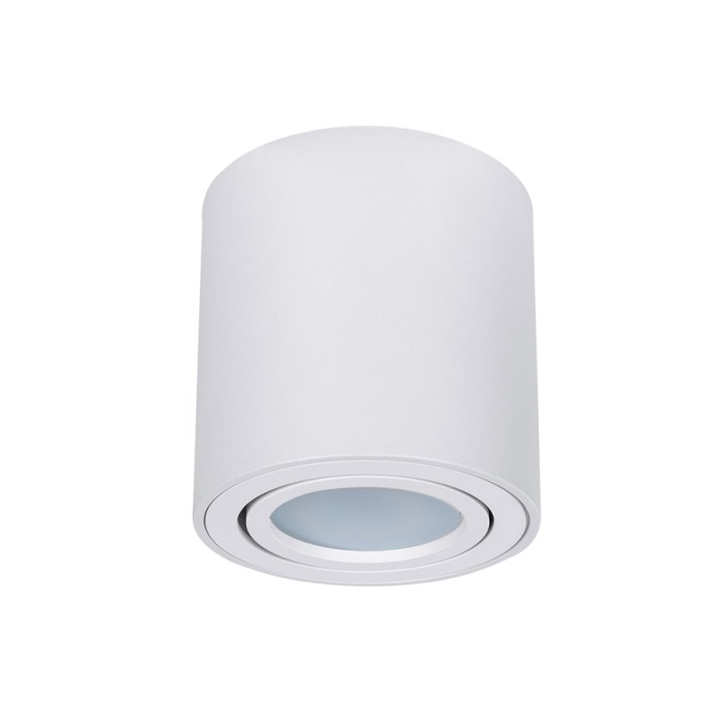 Светильник потолочный Arte Lamp A1513PL-1WH