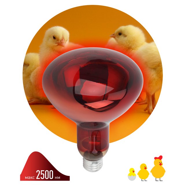 лампа инфракрасная для животных ЭРА 250Вт E27 зеркальная рефлектор