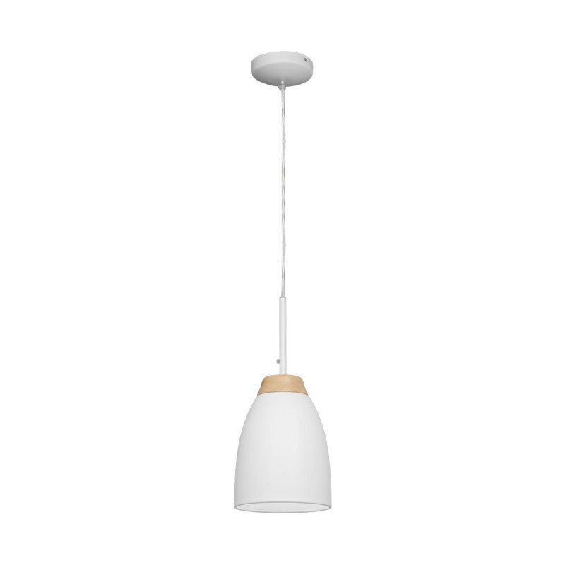 Подвесной светильник LOFT IT LOFT4402A-WH